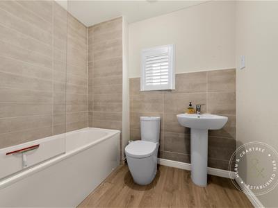 Picture 12
